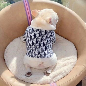 Pull pour chien Dior - 2025 - Vêtement et accessoires pour chiens - Doglovedesign
