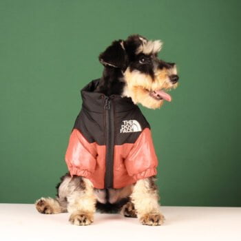 Veste pour chien The North Face | 2024