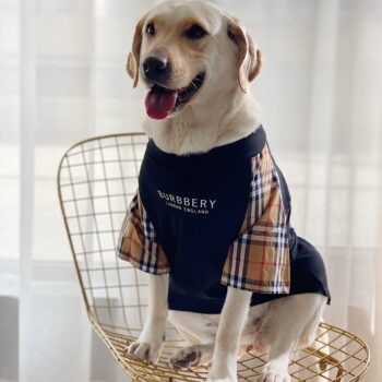 Vêtements Grands Chiens Burberry | 2024