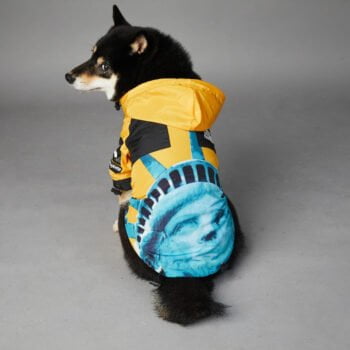 Sweat à capuche pour chien The North Face - 2025 - Vêtement et accessoires pour chiens - Doglovedesign