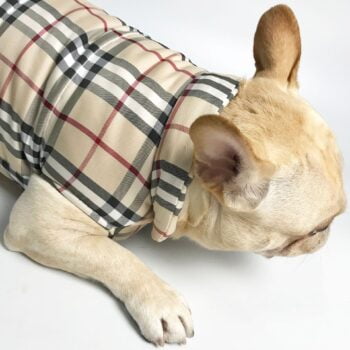 Veste pour chien Burberry | 2024