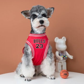 Gilet sans manches pour chien Bulls - 2025 - Vêtement et accessoires pour chiens - Doglovedesign