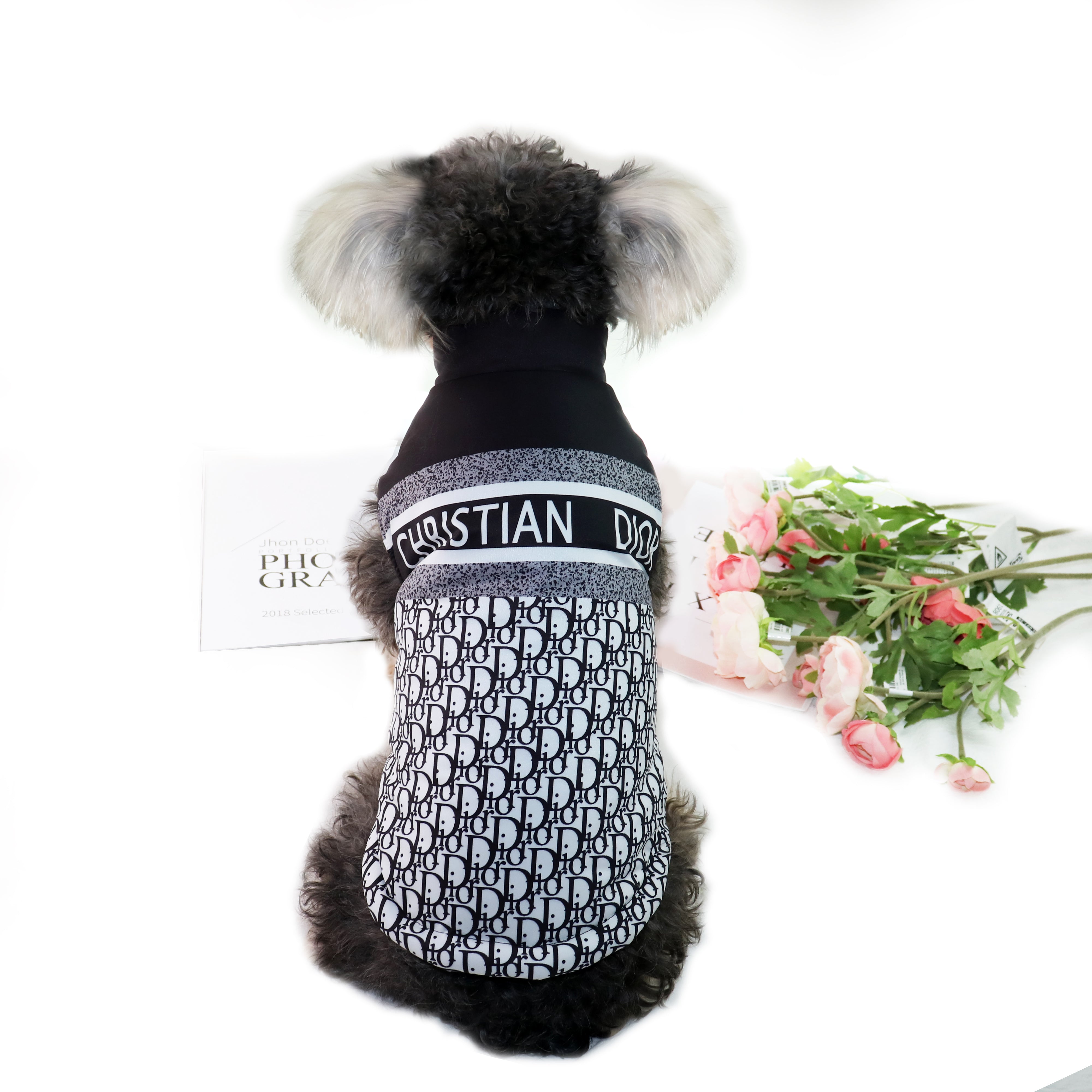 Veste pour chien Dior | 2024