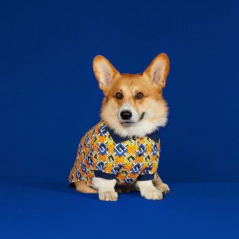 T-shirt pour chien Gucci | 2025