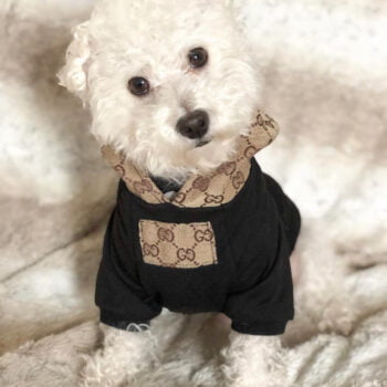 Sweat à capuche pour chien Gucci | 2025