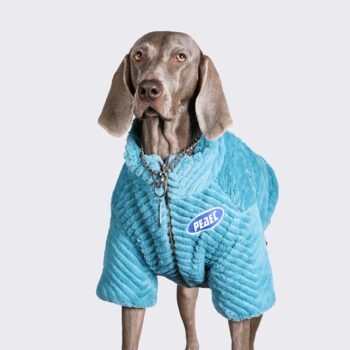 Vêtements Grands Chiens | 2025