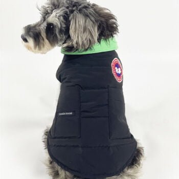 Veste pour chien Canada Goose | 2024