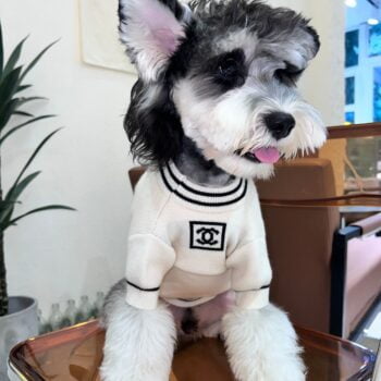 Pull pour chien Chanel | 2024