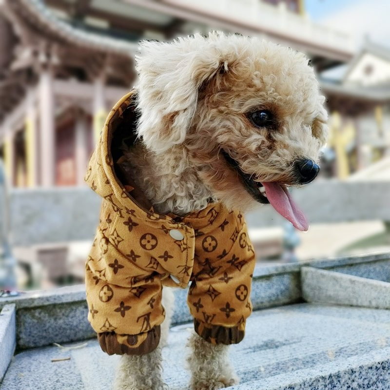 Veste pour chien Louis Pawtton | 2025