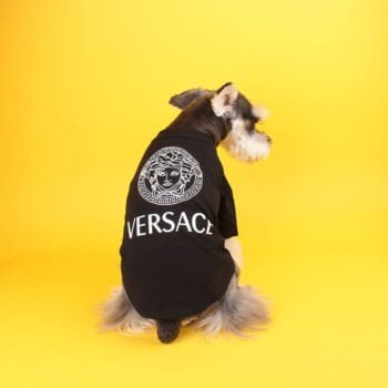 T-shirt pour chien Versace | 2025