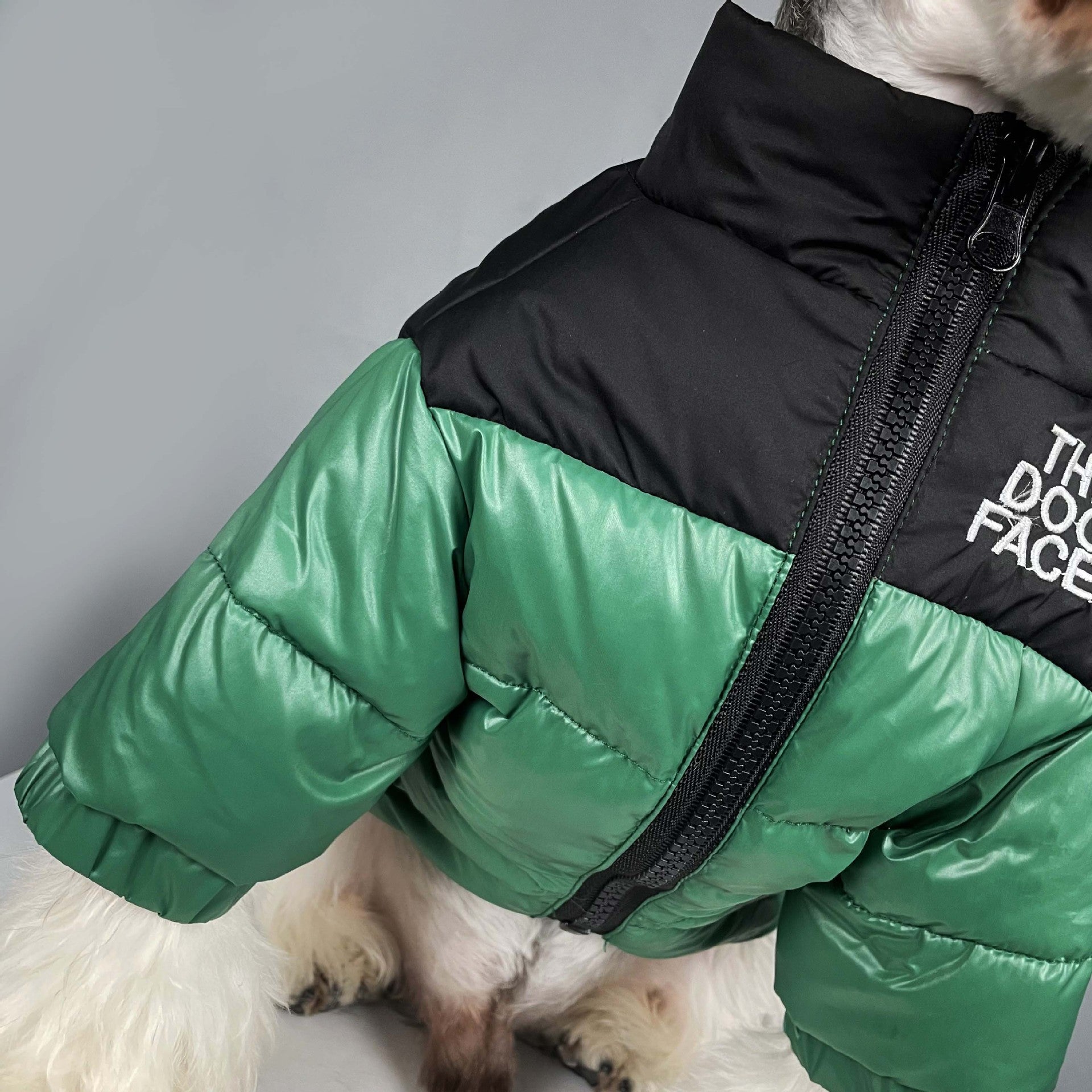 Veste pour chien The North Face | 2023