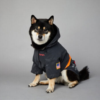 Veste pour chien Nasa | 2024