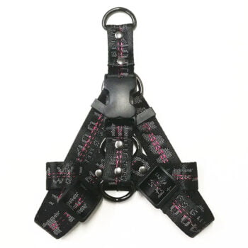 Collier et harnais pour chien Off White - 2025 - Vêtement et accessoires pour chiens - Doglovedesign