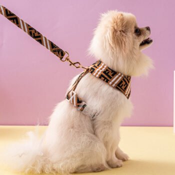 Collier et harnais pour chien Fendi | 2024