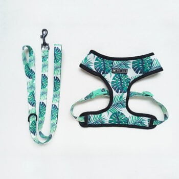 Collier et harnais pour chien - 2025 - Vêtement et accessoires pour chiens - Doglovedesign