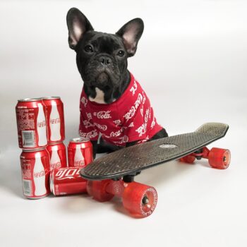 T-shirt pour chien Coca Cola | 2024