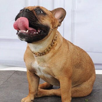 Collier et harnais pour chien - 2025 - Doglovedesign : Vêtement et accessoires pour chiens Collier et harnais pour chien - 2025 - Doglovedesign : Vêtement et accessoires pour chiens