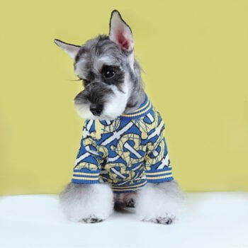 Pull pour chien Burberry | 2024