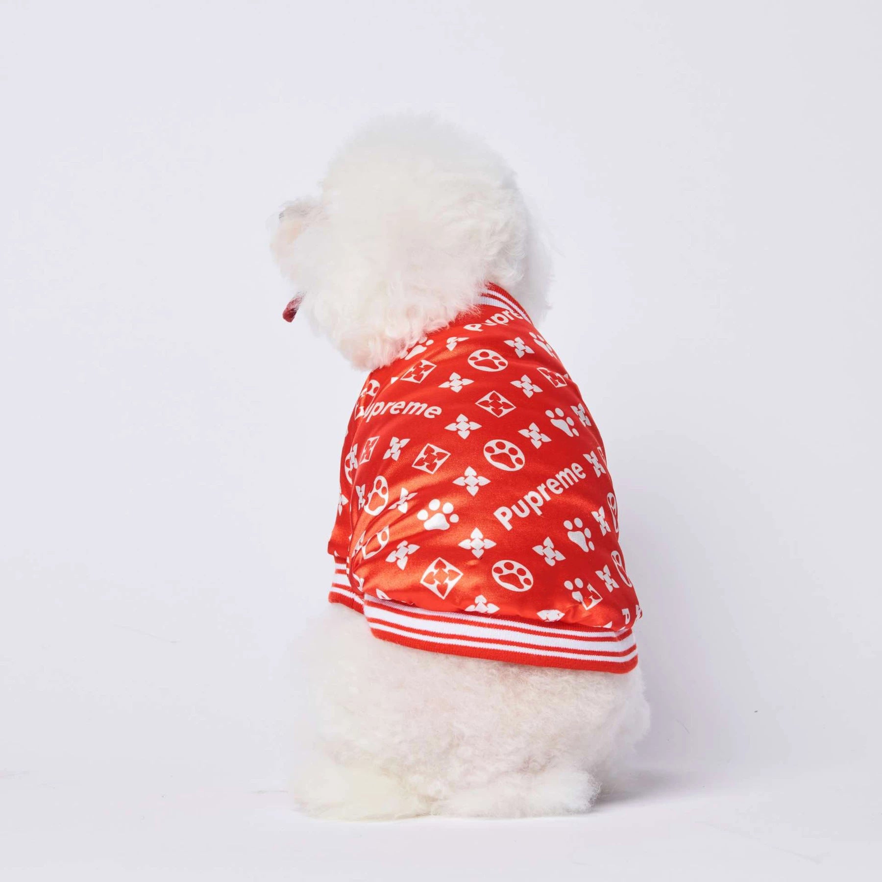 Veste pour chien Louis Vuitton | 2023
