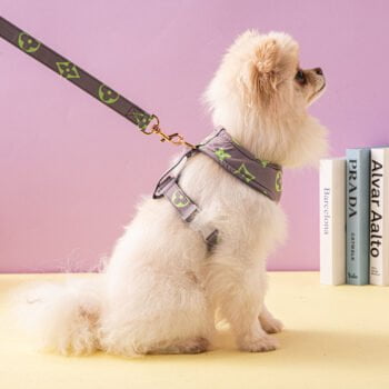 Collier et Harnais Pawtton pour Chiens - 2025 - Vêtement et accessoires pour chiens - Doglovedesign