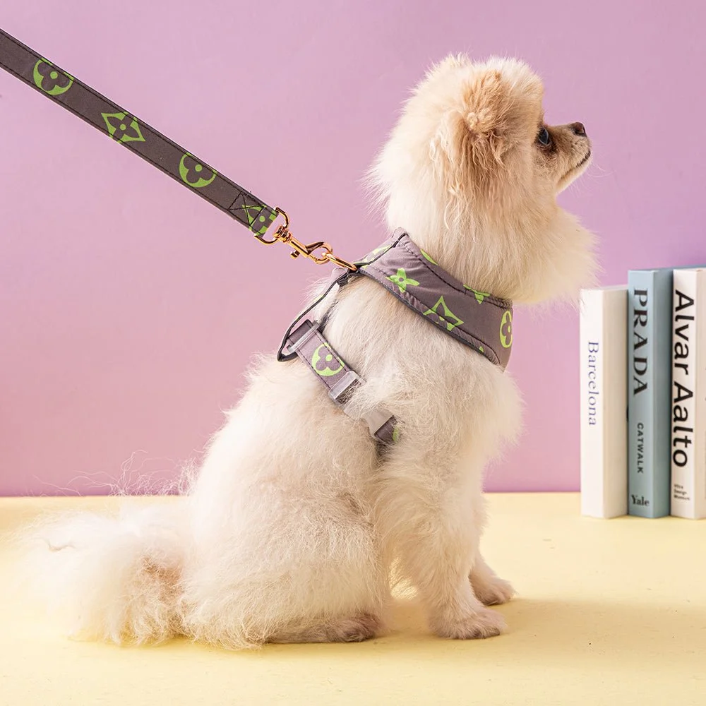 LV, Louis Vuitton inspired Dog Collar!!!!  Collier chien, Simili cuir,  Bijoux uniques