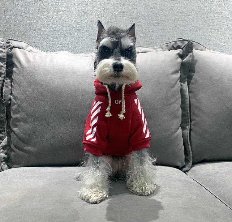 Sweat à capuche pour chien OFF | 2024