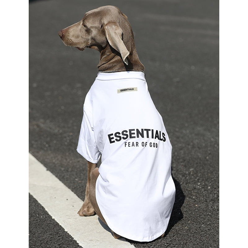 T-shirt pour chien Essentials | 2023