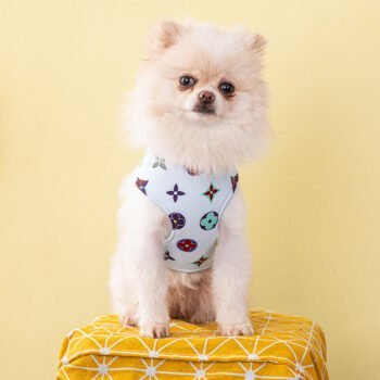 Collier et Harnais Pawtton pour Chiens - 2025 - Vêtement et accessoires pour chiens - Doglovedesign