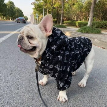 Sweat à capuche pour chien Louis Pawtton - 2025 - Vêtement et accessoires pour chiens - Doglovedesign