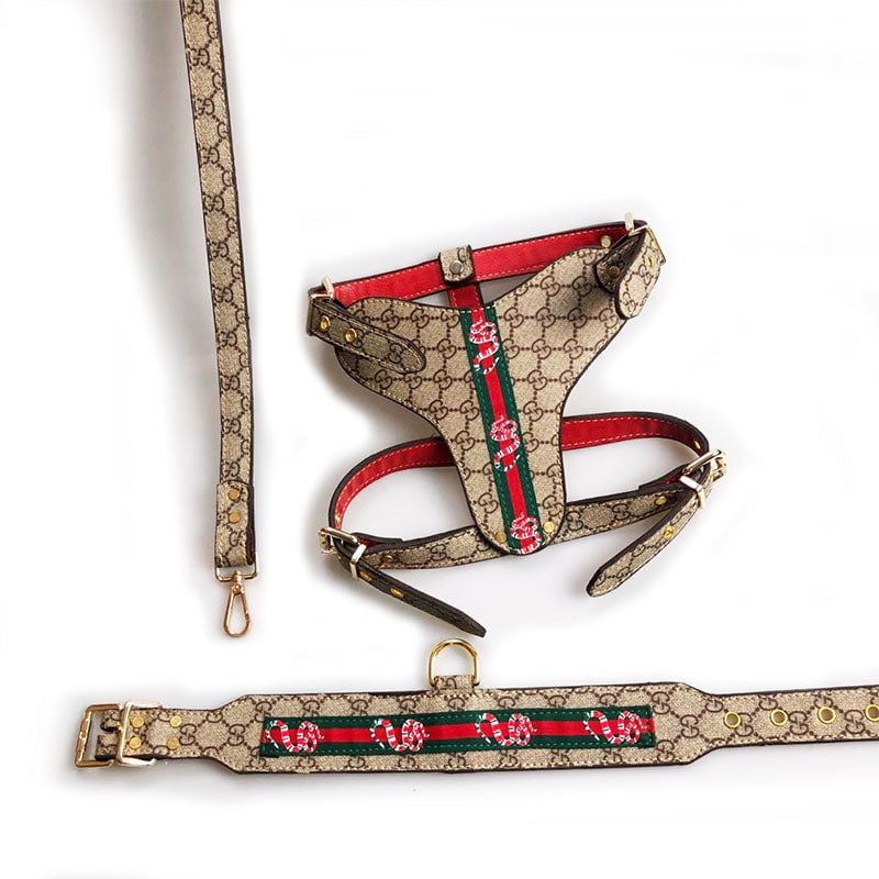 Collier et harnais pour chien Louis Pawtton | 2024