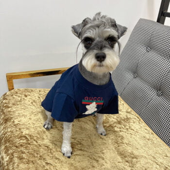 T-shirt pour chien Pawcci - 2025 - Vêtement et accessoires pour chiens - Doglovedesign