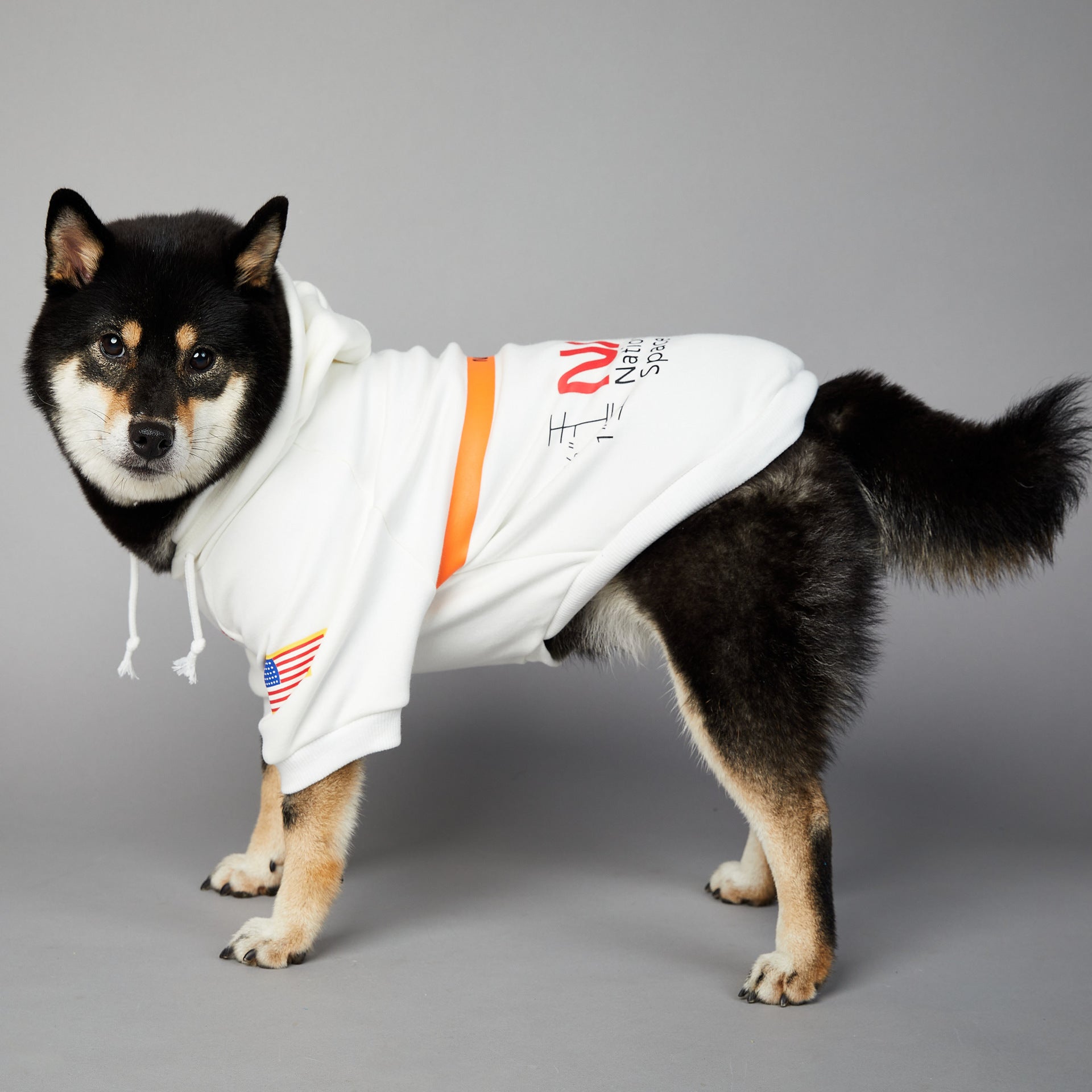 Sweat à capuche pour chien Nasa | 2024