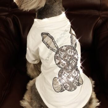 T-shirt pour chien Louis Pawtton | 2024