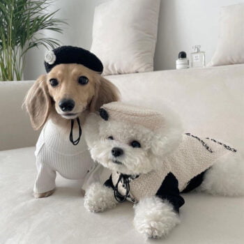 Pull pour chien Chanel | 2024