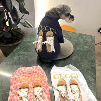 T-shirt pour chien Gucci | 2024