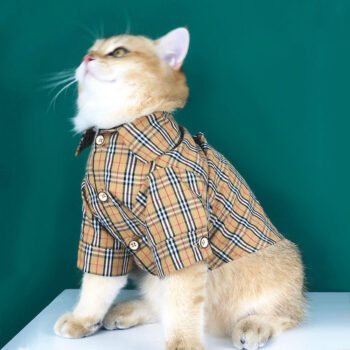 Chemise pour chien Burberry | 2024