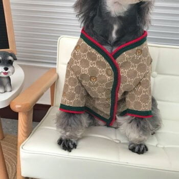 Pull pour chien Gucci | 2024