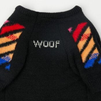 Pull pour chien WOOF | 2024