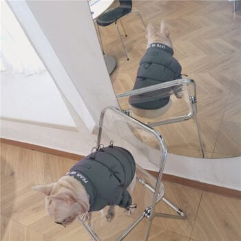 Veste pour chien | 2024