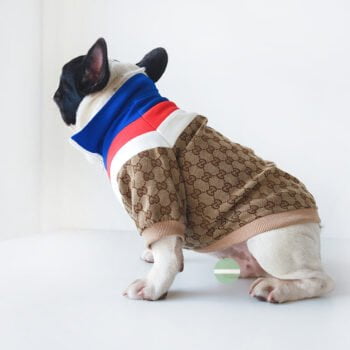 Veste pour chien Gucci | 2024