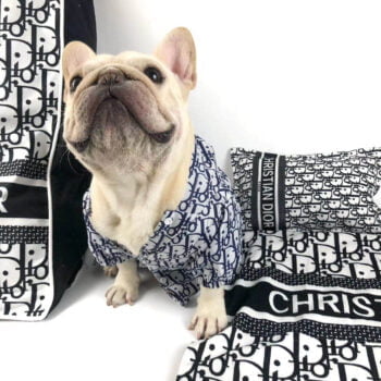 Sweat à capuche pour chien Dior | 2024