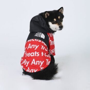 Veste pour chien The North Face - 2025 - Vêtement et accessoires pour chiens - Doglovedesign