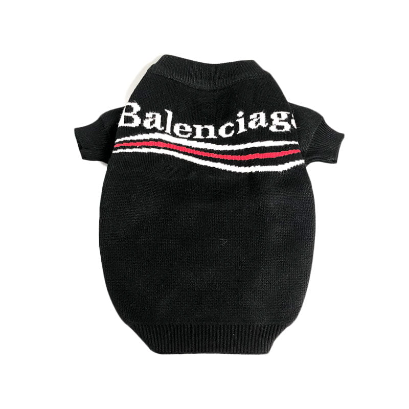 Pull pour chien Balenciaga | 2024