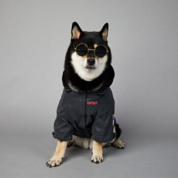 Veste pour chien Nasa | 2024