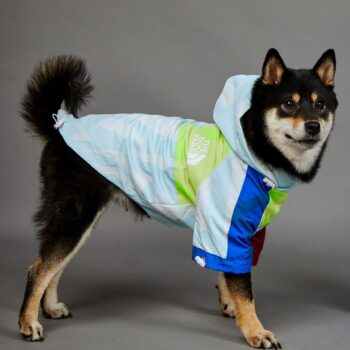 Sweat à capuche pour chien The North Face | 2024