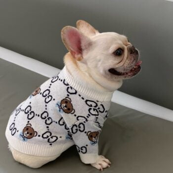 Pull pour chien Gucci | 2024