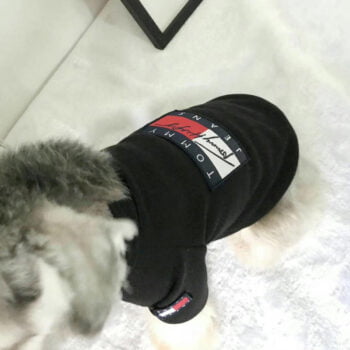 Sweat-shirt pour chien Tommy | 2024