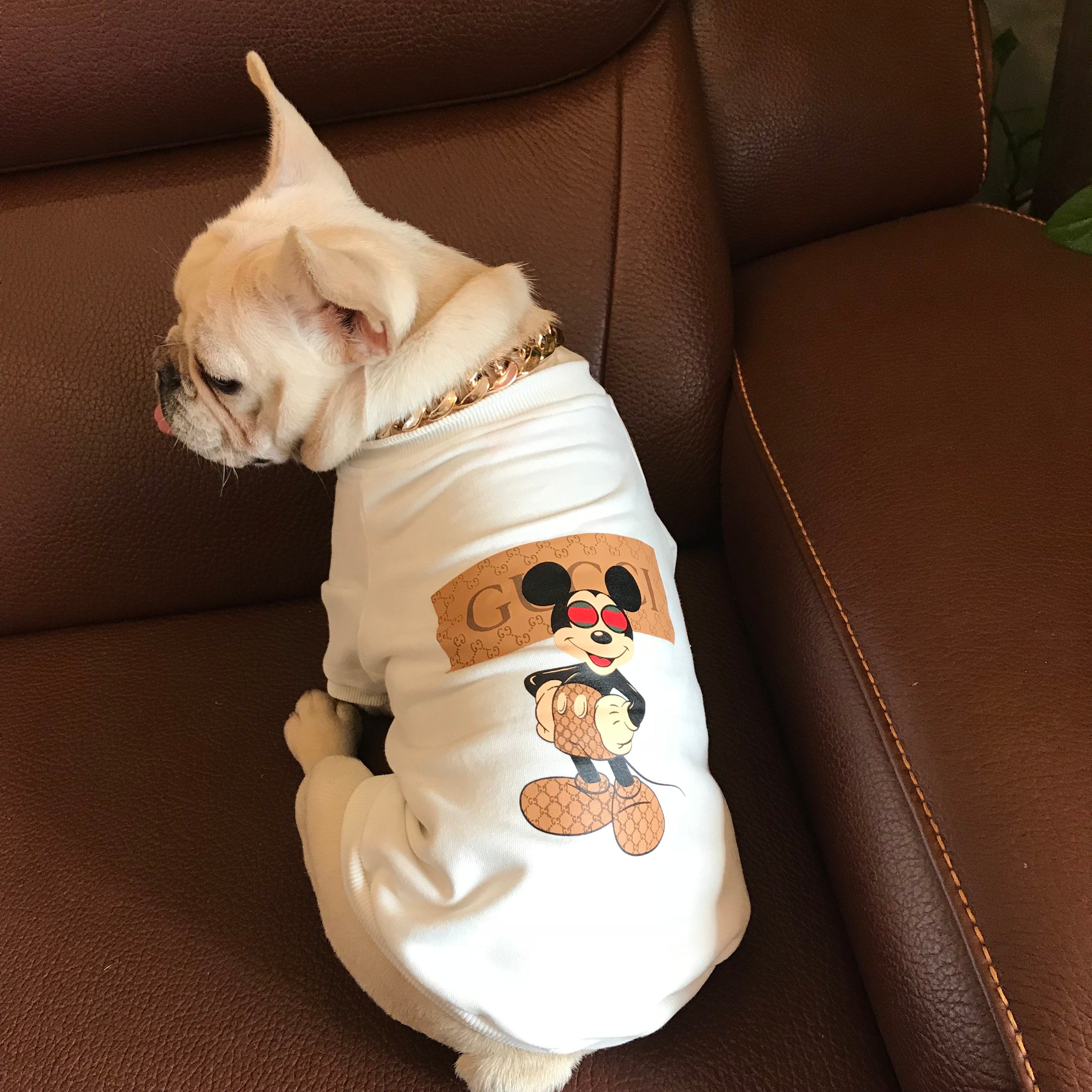 Sweat-shirt pour chien Gucci | 2023