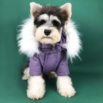 Veste pour chien Canada Goose - 2025 - Vêtement et accessoires pour chiens - Doglovedesign
