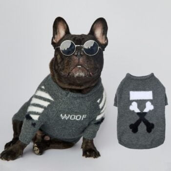 Pull pour chien WOOF | 2024